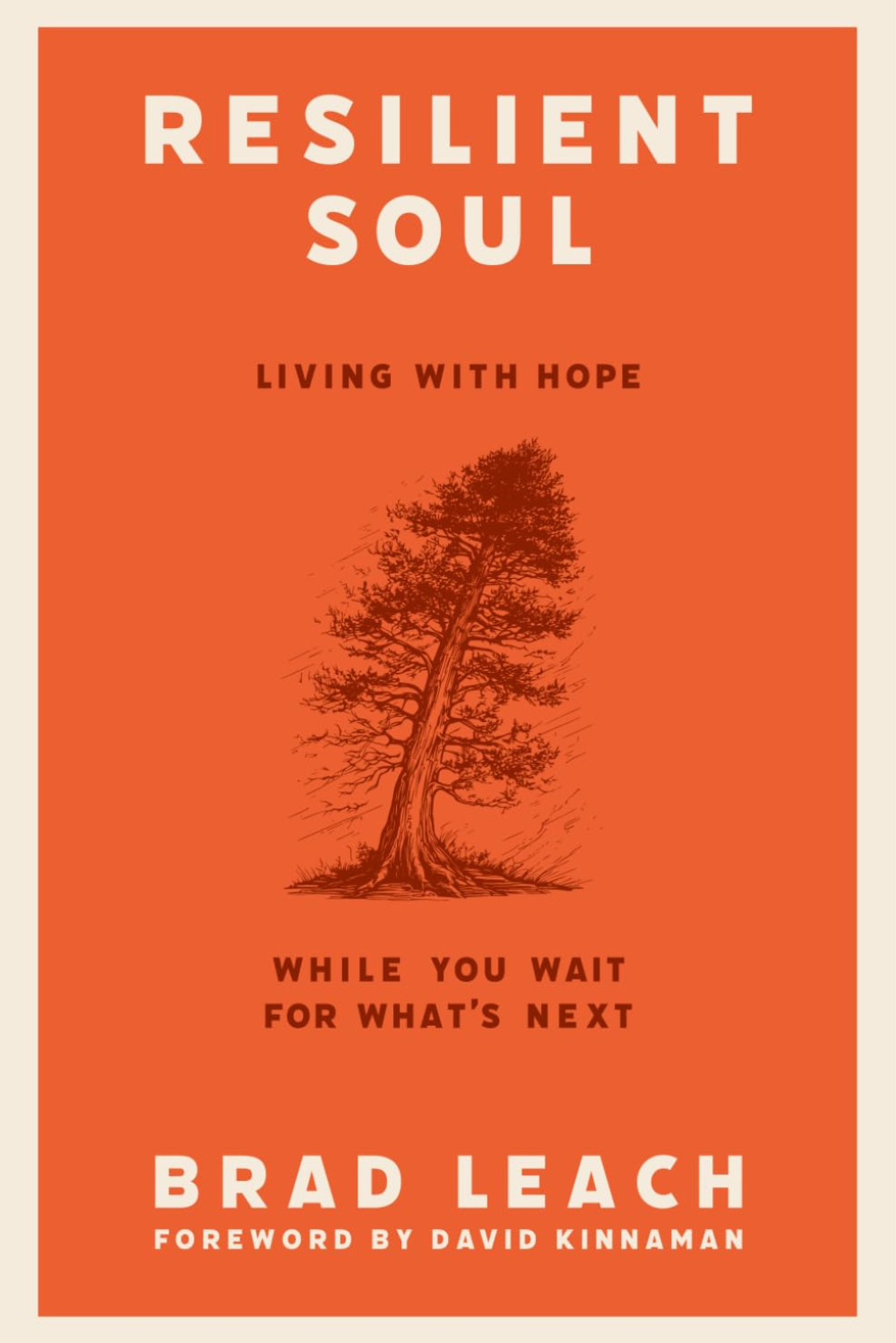 Book: Resilient Soul: Living With Hope While You Wait For What's Next